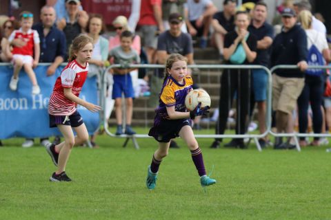 Week 4 of the Mini All Ireland  - Ladies Football