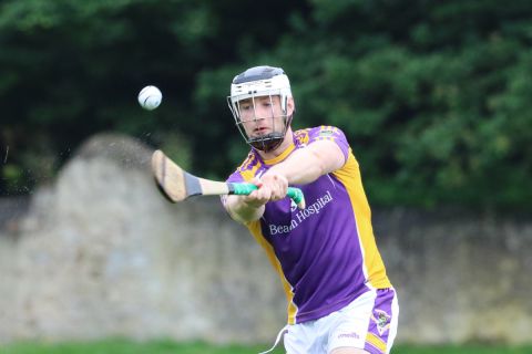  Adult Hurling League Division Four vs Clanna Gael-Fontenoy 