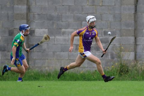  Adult Hurling League Division Four vs Clanna Gael-Fontenoy 