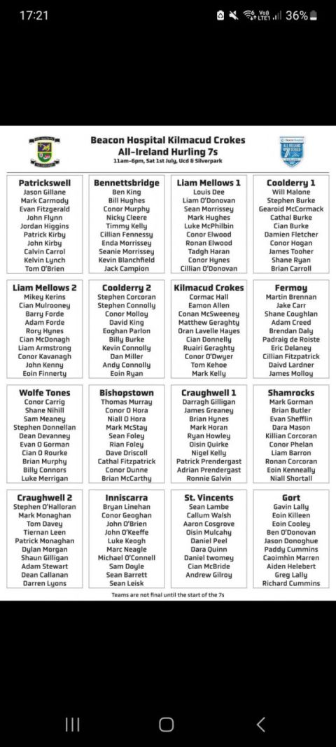 Beacon Hospital All-Ireland Hurling 7s Draw