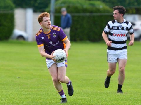 Go Ahead Adult Football League Division Two Kilmacud Crokes Versus Fingal Ravens 