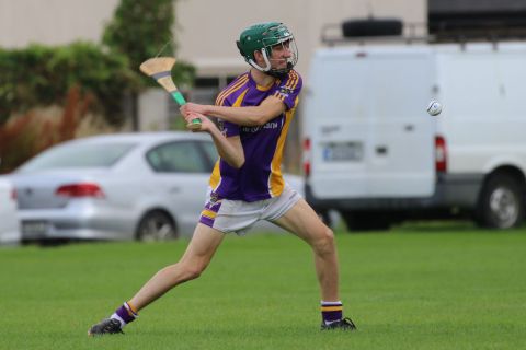 Junior C Hurling Championship vs St Sylvesters