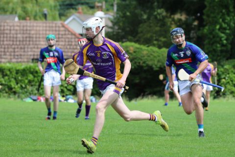 Junior C Hurling Championship vs St Sylvesters