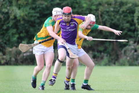 Junior C Hurling Championship vs Faughs