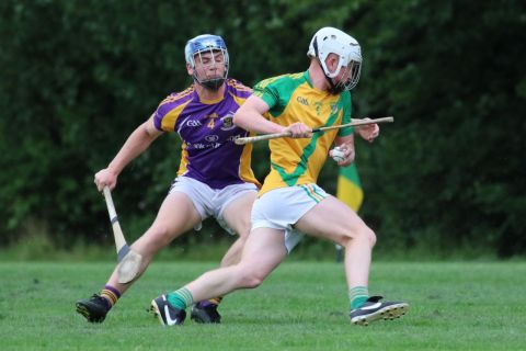 Junior C Hurling Championship vs Faughs