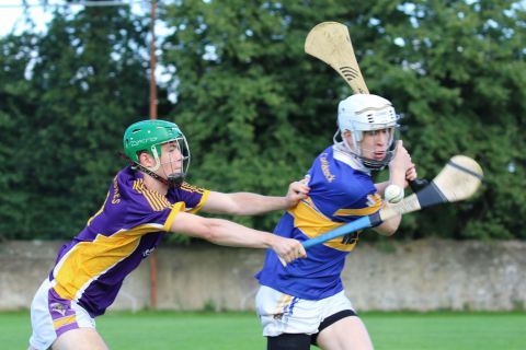  Junior E Hurling Championship vs Castleknock