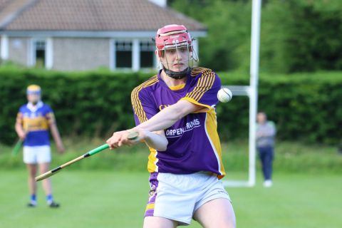  Junior E Hurling Championship vs Castleknock