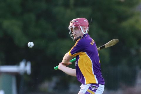  Junior E Hurling Championship vs Castleknock