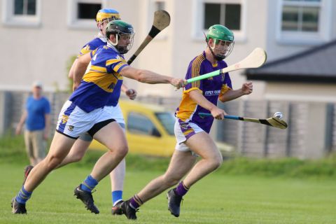  Junior E Hurling Championship vs Castleknock