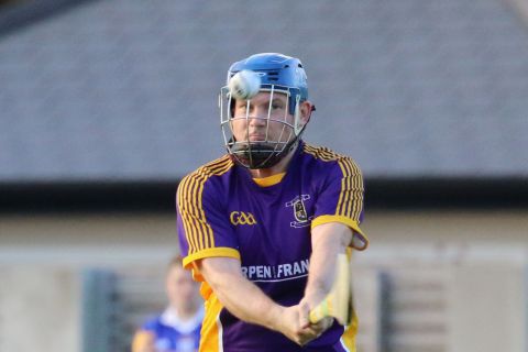  Junior E Hurling Championship vs Castleknock
