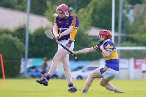  Junior E Hurling Championship vs Castleknock