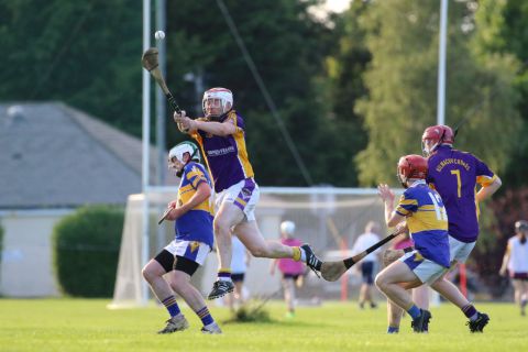  Junior E Hurling Championship vs Castleknock