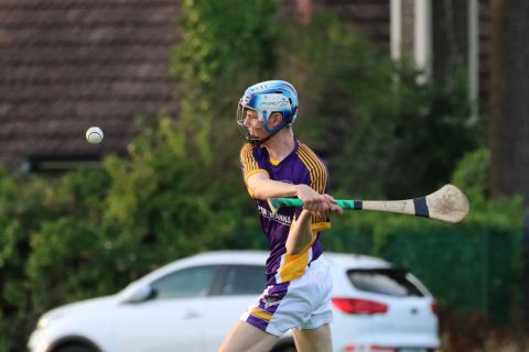  Junior E Hurling Championship vs Castleknock