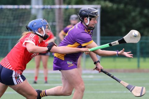 Beacon Hospital Kilmacud Crokes Camogie7s 2023