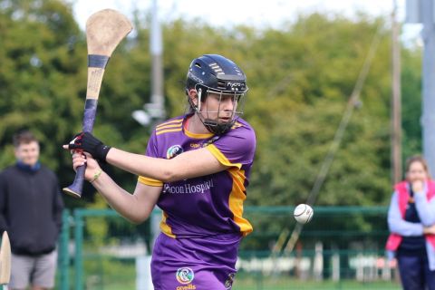 Beacon Hospital Kilmacud Crokes Camogie7s 2023