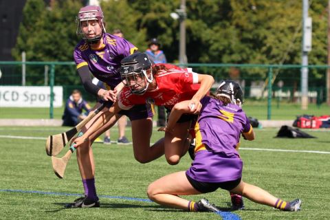 Beacon Hospital Kilmacud Crokes Camogie7s 2023