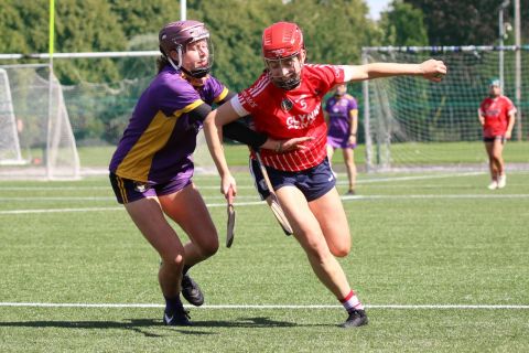 Beacon Hospital Kilmacud Crokes Camogie7s 2023