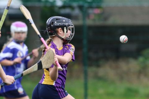 U12 Camogie Festival of Hurling 