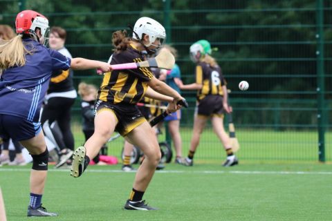 U12 Camogie Festival of Hurling 