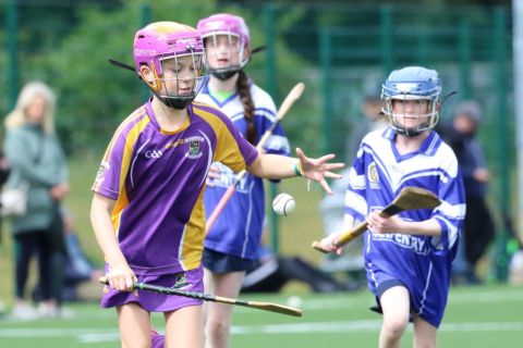 U12 Camogie Festival of Hurling 