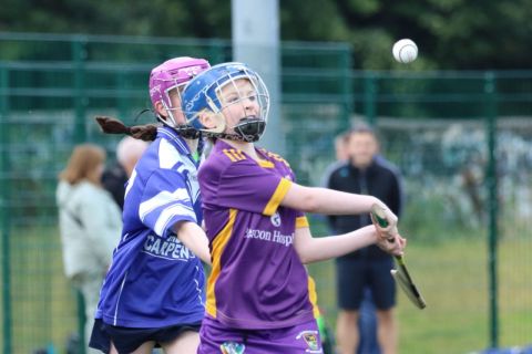 U12 Camogie Festival of Hurling 