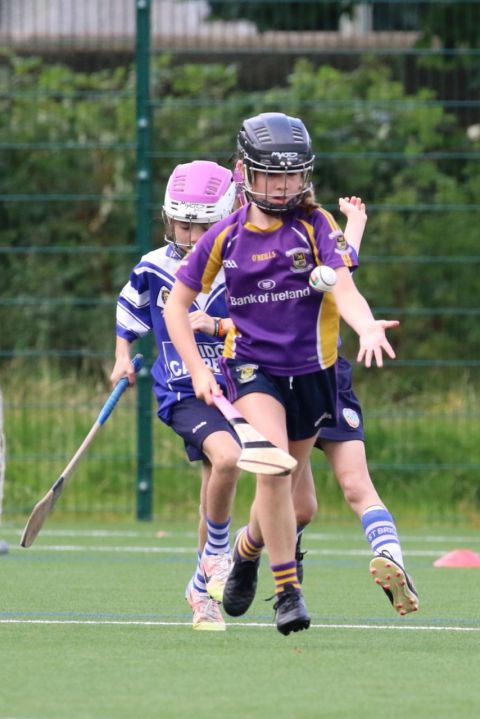 U12 Camogie Festival of Hurling 