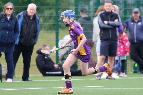 U12 Camogie Festival of Hurling 