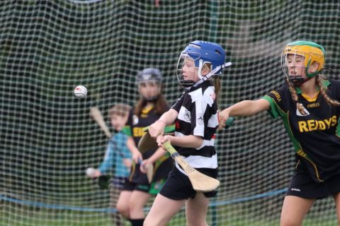 U12 Camogie Festival of Hurling 