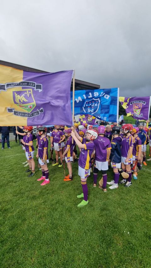 U9 and U10 Boys – Summer 2023 Crokes on Tour to Naomh Eanna in Wexford.