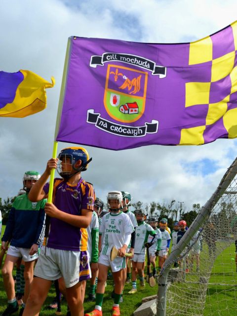 U9 and U10 Boys – Summer 2023 Crokes on Tour to Naomh Eanna in Wexford.