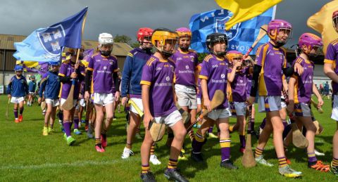 U9 and U10 Boys – Summer 2023 Crokes on Tour to Naomh Eanna in Wexford.