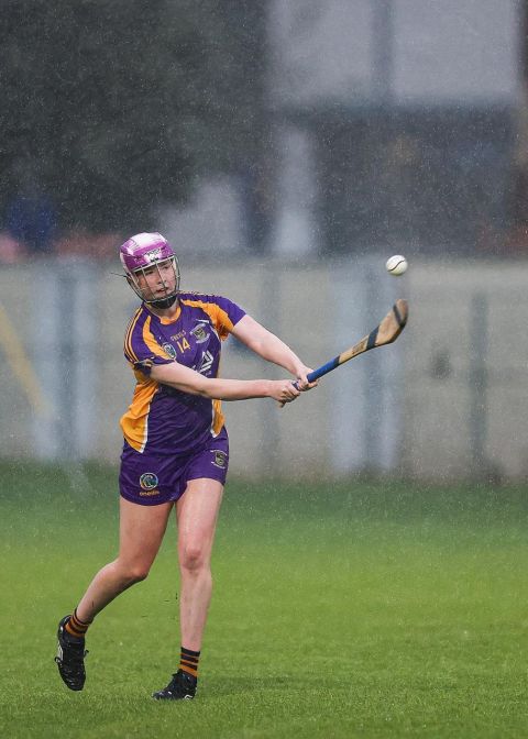 Dublin Minor Camogie Division 1 Kilmacud Crokes Versus Na Fianna 