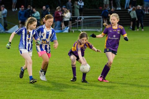 Half Time Under 9 game during Snr Ladies Championship Game - Kilmacud Crokes V Ballyboden