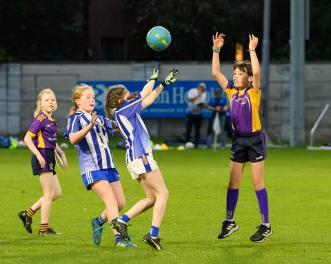 Half Time Under 9 game during Snr Ladies Championship Game - Kilmacud Crokes V Ballyboden
