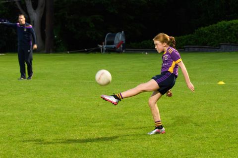 Half Time Under 9 game during Snr Ladies Championship Game - Kilmacud Crokes V Ballyboden
