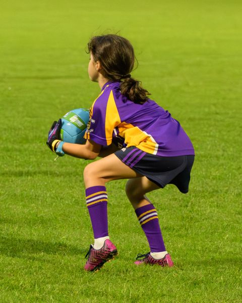 Half Time Under 9 game during Snr Ladies Championship Game - Kilmacud Crokes V Ballyboden