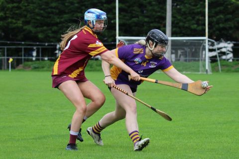 Camogie Intermediate Championship  vs Naomh Maurs