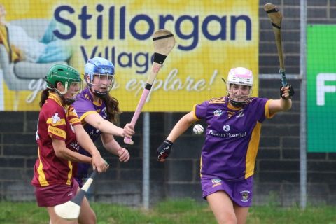 Camogie Intermediate Championship  vs Naomh Maurs