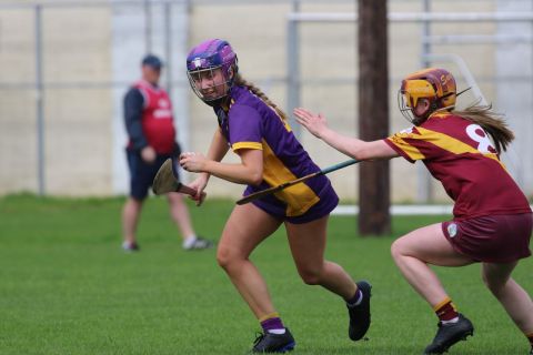 Camogie Intermediate Championship  vs Naomh Maurs