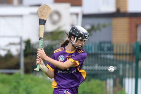 Camogie Intermediate Championship  vs Naomh Maurs