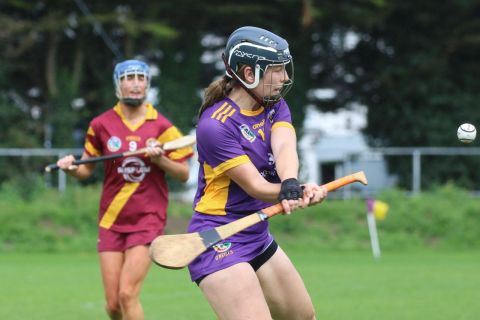 Camogie Intermediate Championship  vs Naomh Maurs