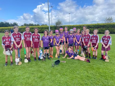 2012 Girls – Summer Camoige Crokes on Tour to St Martins, Wexford