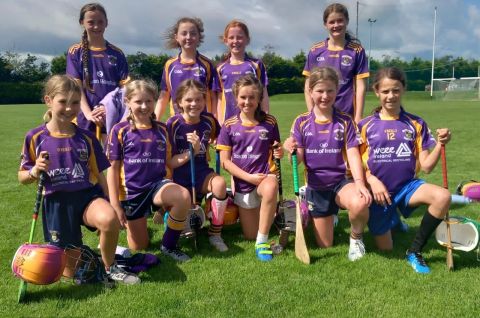 2012 Girls – Summer Camoige Crokes on Tour to St Martins, Wexford