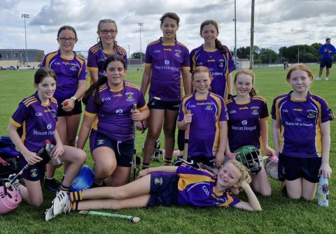 2012 Girls – Summer Camoige Crokes on Tour to St Martins, Wexford