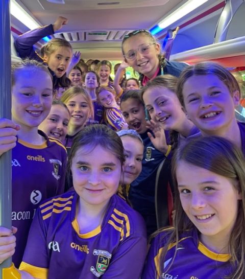 2012 Girls – Summer Camoige Crokes on Tour to St Martins, Wexford