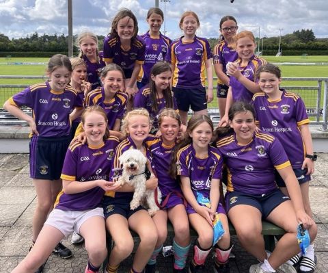 2012 Girls – Summer Camoige Crokes on Tour to St Martins, Wexford