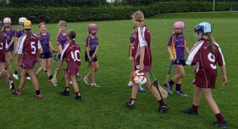 2012 Girls – Summer Camoige Crokes on Tour to St Martins, Wexford