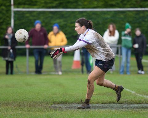 Leinster Semi Final Action Shot