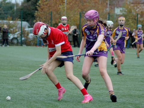 Camogie Girl 