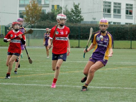 Camogie Girl striking the ball 